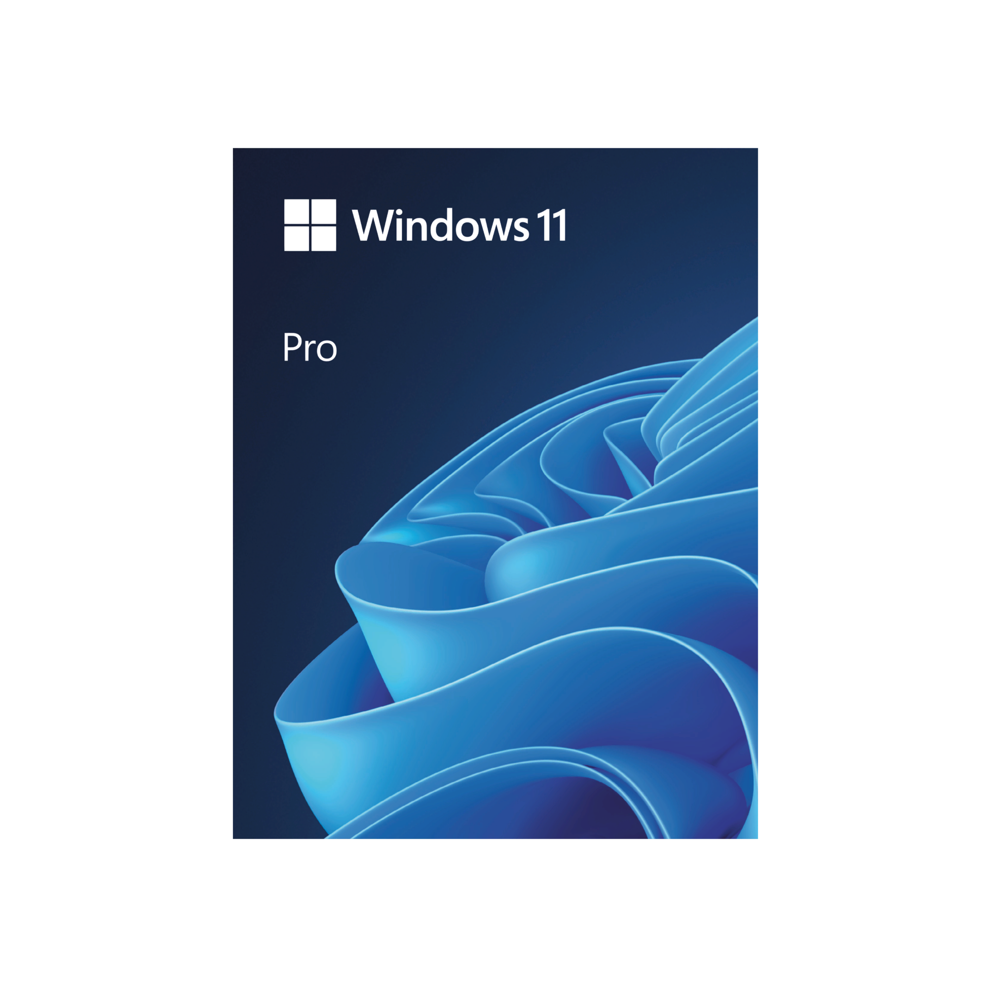 Windows 11 Pro OEM 64Bit Türkçe Çevre Birimleri